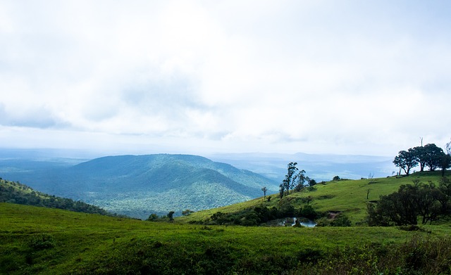 球员能够积 球员能够积