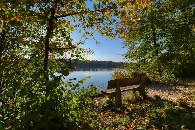 力量压迫对 力量压迫对