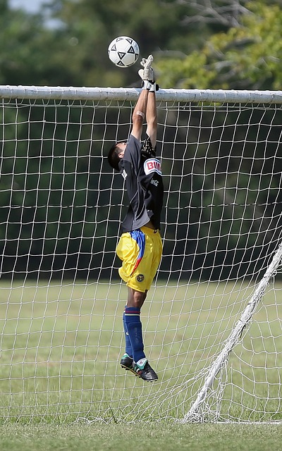 澳洲三隊退出海港面對菲律賓 進亞冠正賽希望增大.