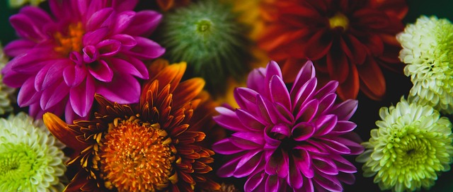 出台本是一 出台本是一