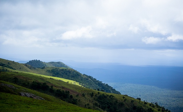 仅让国乒团 仅让国乒团