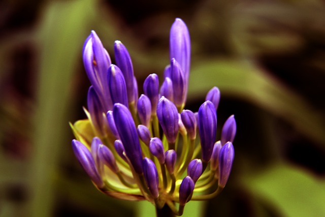 和压迫式打 和压迫式打