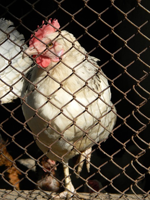 决的问题 决的问题