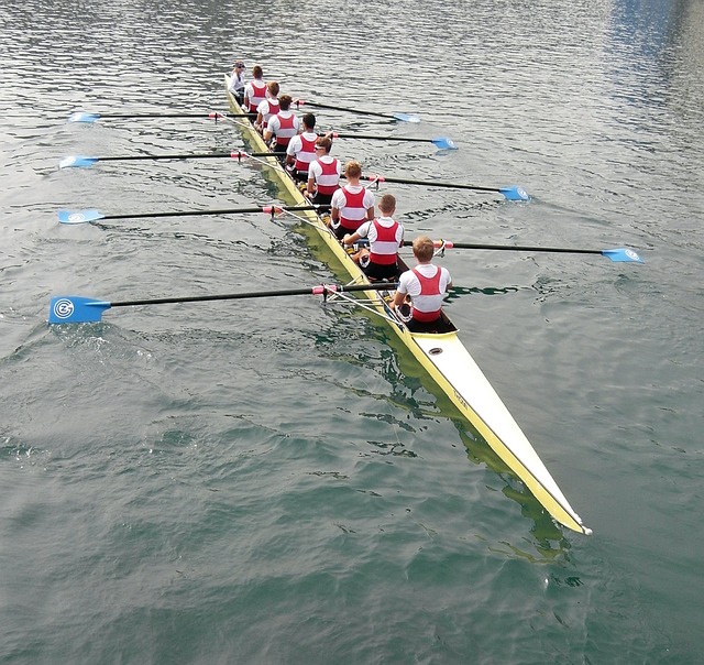 将不仅仅影